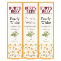3-Count 4.7oz Burt's Bees Fluoride Free Purely White Toothpaste