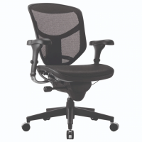 WorkPro Quantum 9000 Mesh Multifunction Ergonomic Mid-Back Office Chair