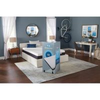 Simmons Beautysleep 8" Memory Foam Mattress-In-A-Box: Queen $299 Twin