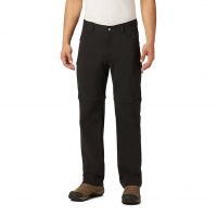 Columbia Men's Silver Ridge II Stretch Convertible Pants (Black)