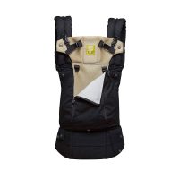 LILLEbaby Complete All Seasons 6-Position 360° Ergonomic Baby & Child Carrier