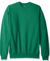 Hanes Men's Ecosmart Fleece Sweatshirt (Kelly Green Large)