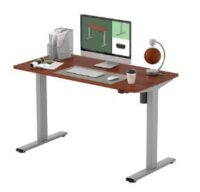 Adjustable Electric Standing Desk
