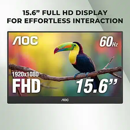 FHD IPS Portable Monitor