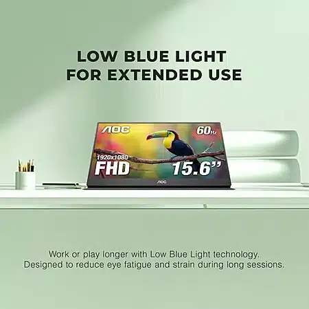 FHD IPS Portable Monitor