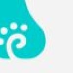 Profile picture of pawsona