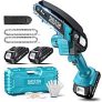 6″ Seesii Mini Cordless Electric Hand Chainsaw w/ 2x 21V Batteries
