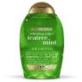 2-Count 13oz OGX Extra Strength Refreshing Scalp + Tea Tree Mint Shampoo