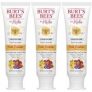 4.2-Oz Burt’s Bees Kids’ Fluoride Free Toothpaste (Fruit Fusion)