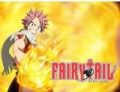 Digital HD Anime: Garo The Animation, or Fairy Tail (Season 1, Part 1)