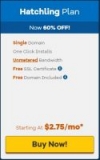 Hostgator $2.75/mo for 1 year webhosting + FREE 1 year Domain Registration!