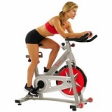 Sunny Health & Fitness Indoor Cycling Bike w/ 40 lb Flywheel (Chain Drive)