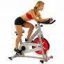 Sunny Health & Fitness Indoor Cycling Bike w/ 40 lb Flywheel (Chain Drive)