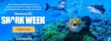 Stream in Discovery GO App Shark Week on Fire Devices, Get $25 Amazon Credit