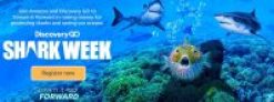 Stream in Discovery GO App Shark Week on Fire Devices, Get $25 Amazon Credit