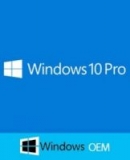 Windows 10 Professional OEM PC CD Key (1 User Key)-@OKS-$11.82